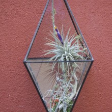 Hanging Geometric Large Forrest kit