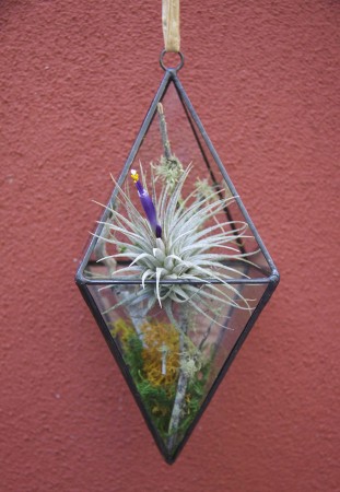 View Larger Image » Hanging Geometric Small forrest